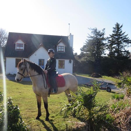 Letterfrack Farmhouse On Equestrian Farm In Letterfrack Beside Connemara National Park Tullywee Bridge Exterior foto