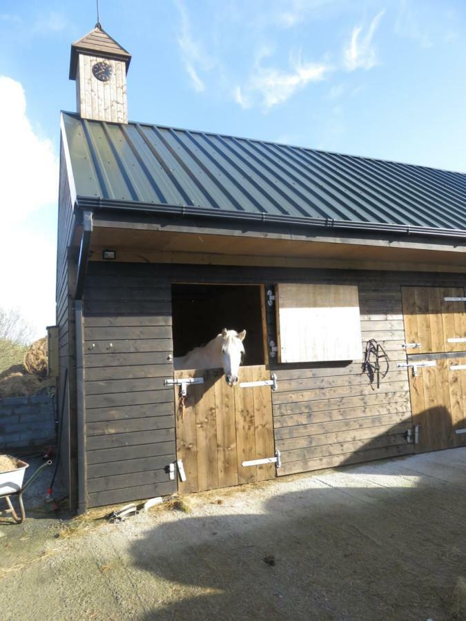 Letterfrack Farmhouse On Equestrian Farm In Letterfrack Beside Connemara National Park Tullywee Bridge Exterior foto